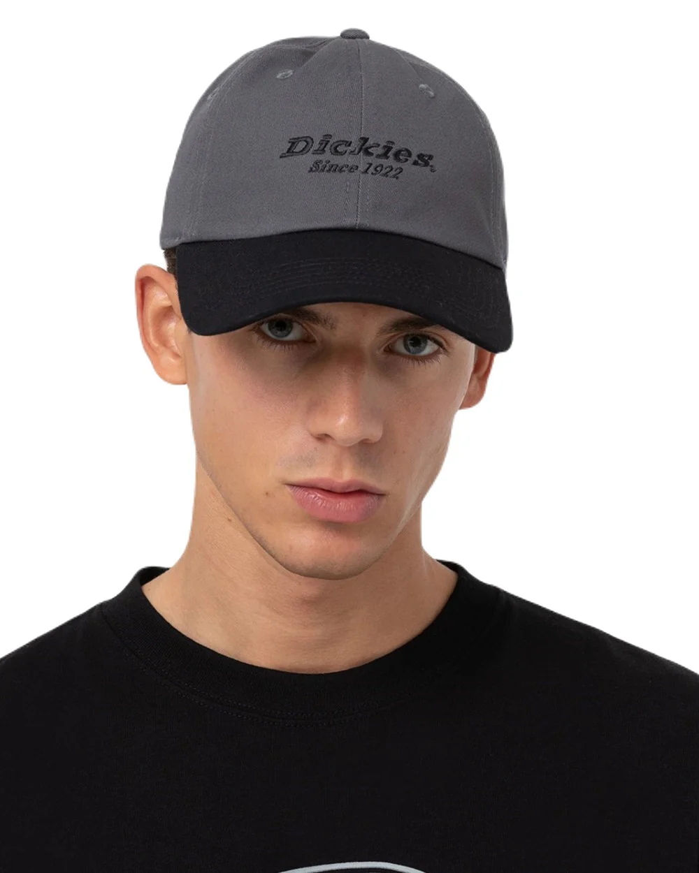 Dickies Everyday Twill Cotton Cap - Image 9