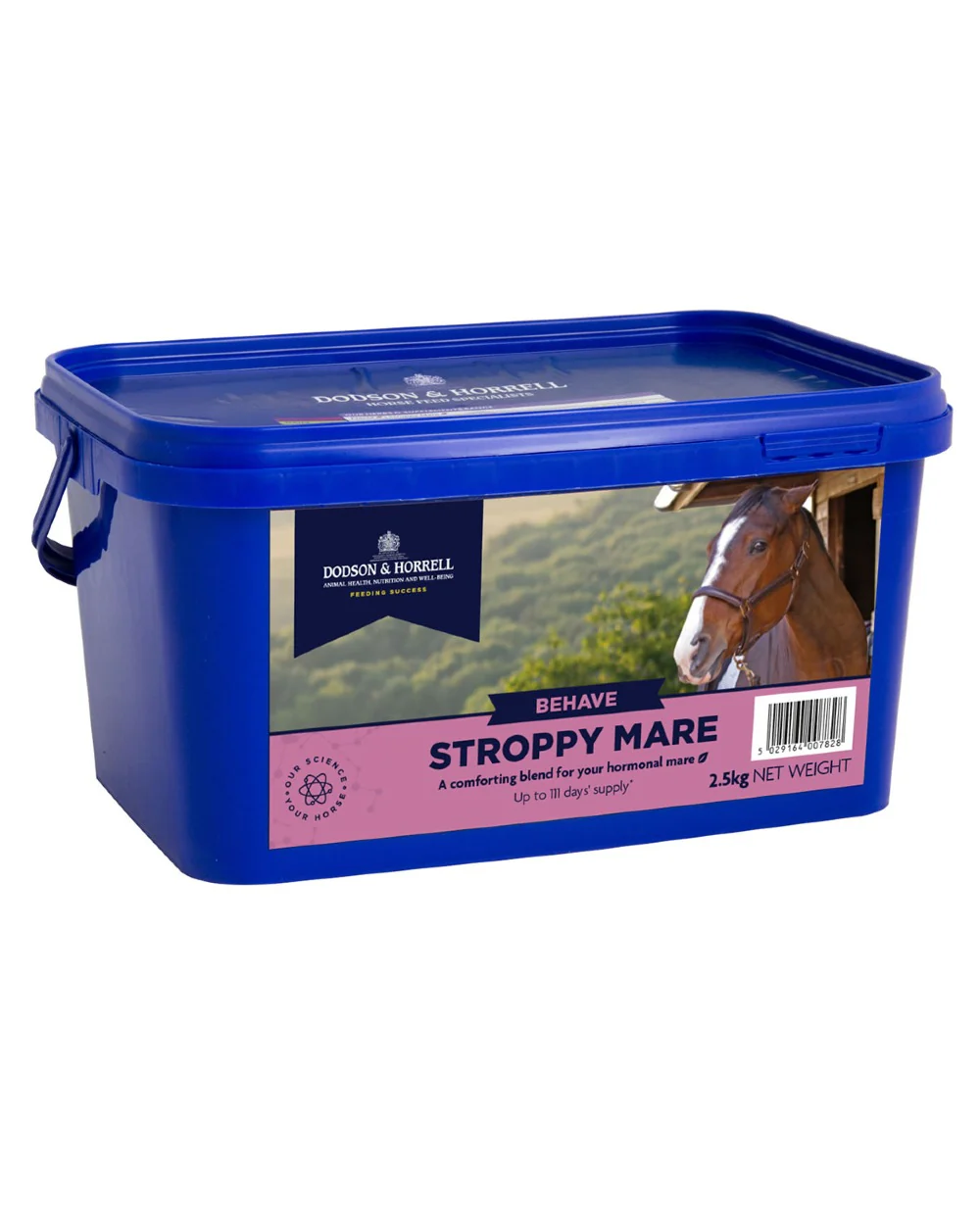 Dodson & Horrell Stroppy Mare - Image 3