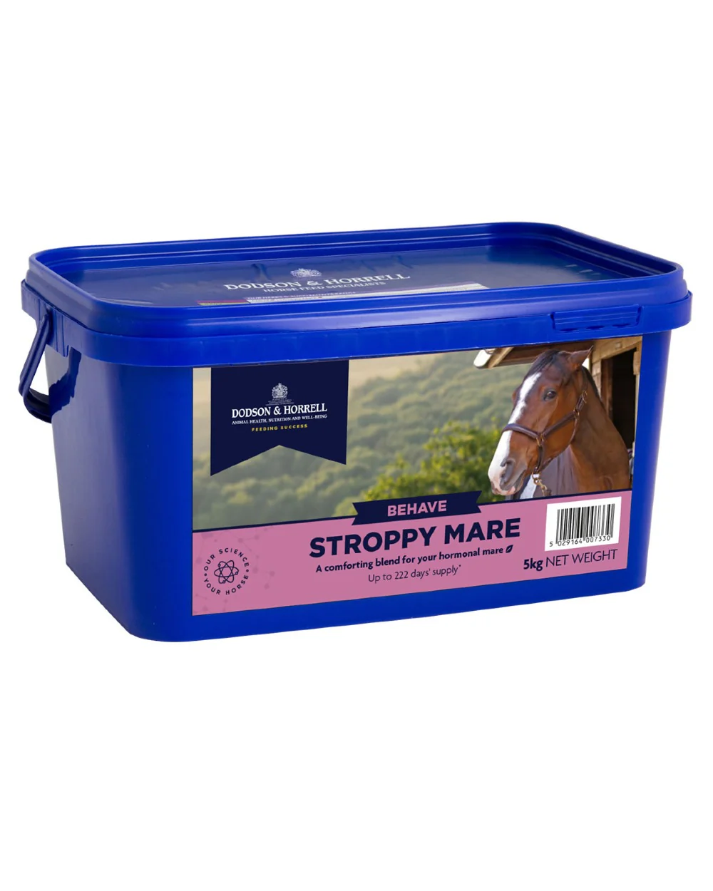 Dodson & Horrell Stroppy Mare - Image 4