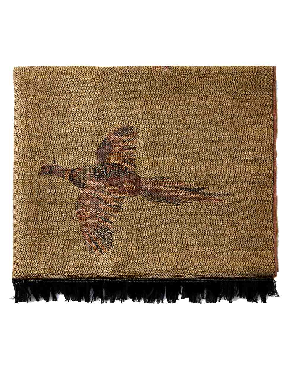 Dubarry Birchdale Wool Stole - Image 4