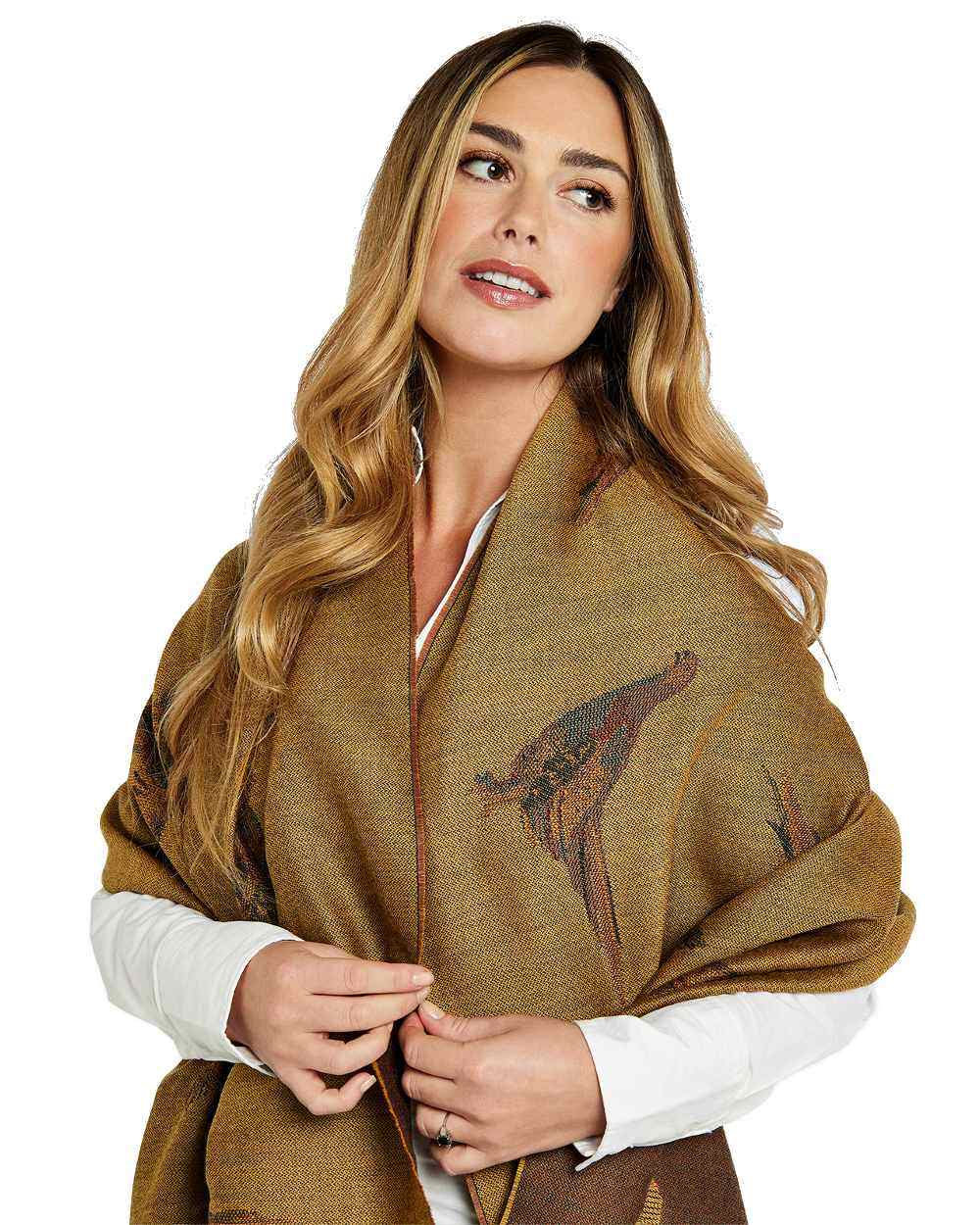Dubarry Birchdale Wool Stole - Image 5