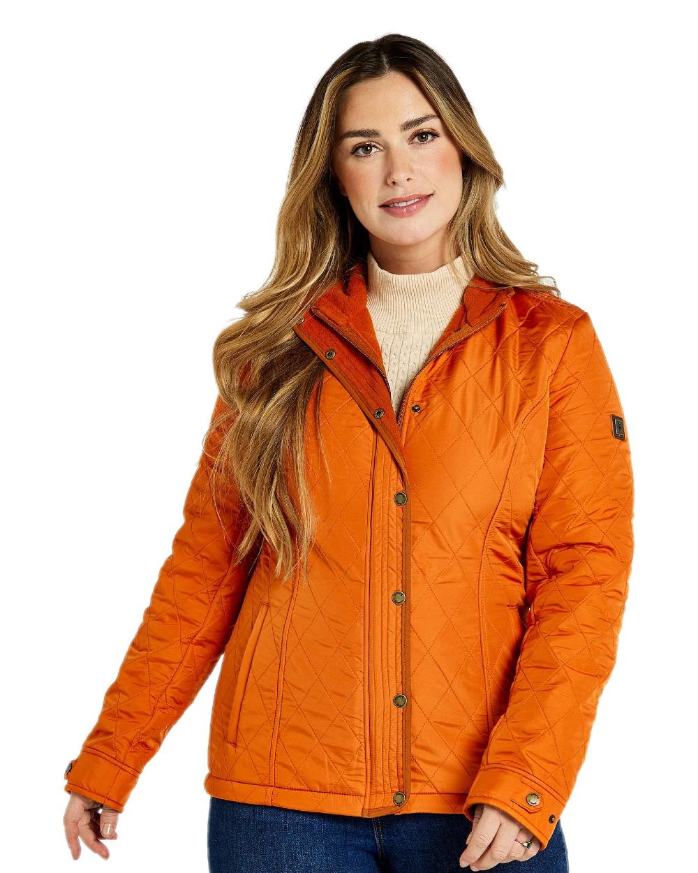 Dubarry Camlodge Quilted Jacket - Image 4