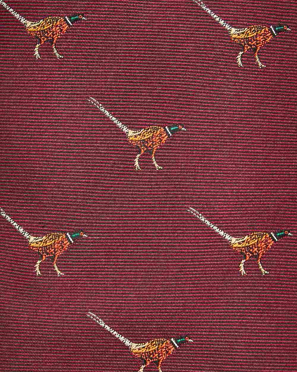Dubarry Mens Madden Silk Tie - Image 8