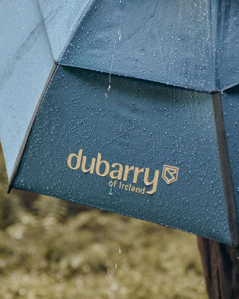 Dubarry Umbrella - Image 4