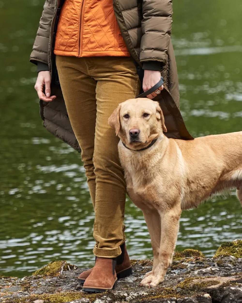 Dubarry Womens Honeysuckle Jeans - Image 16