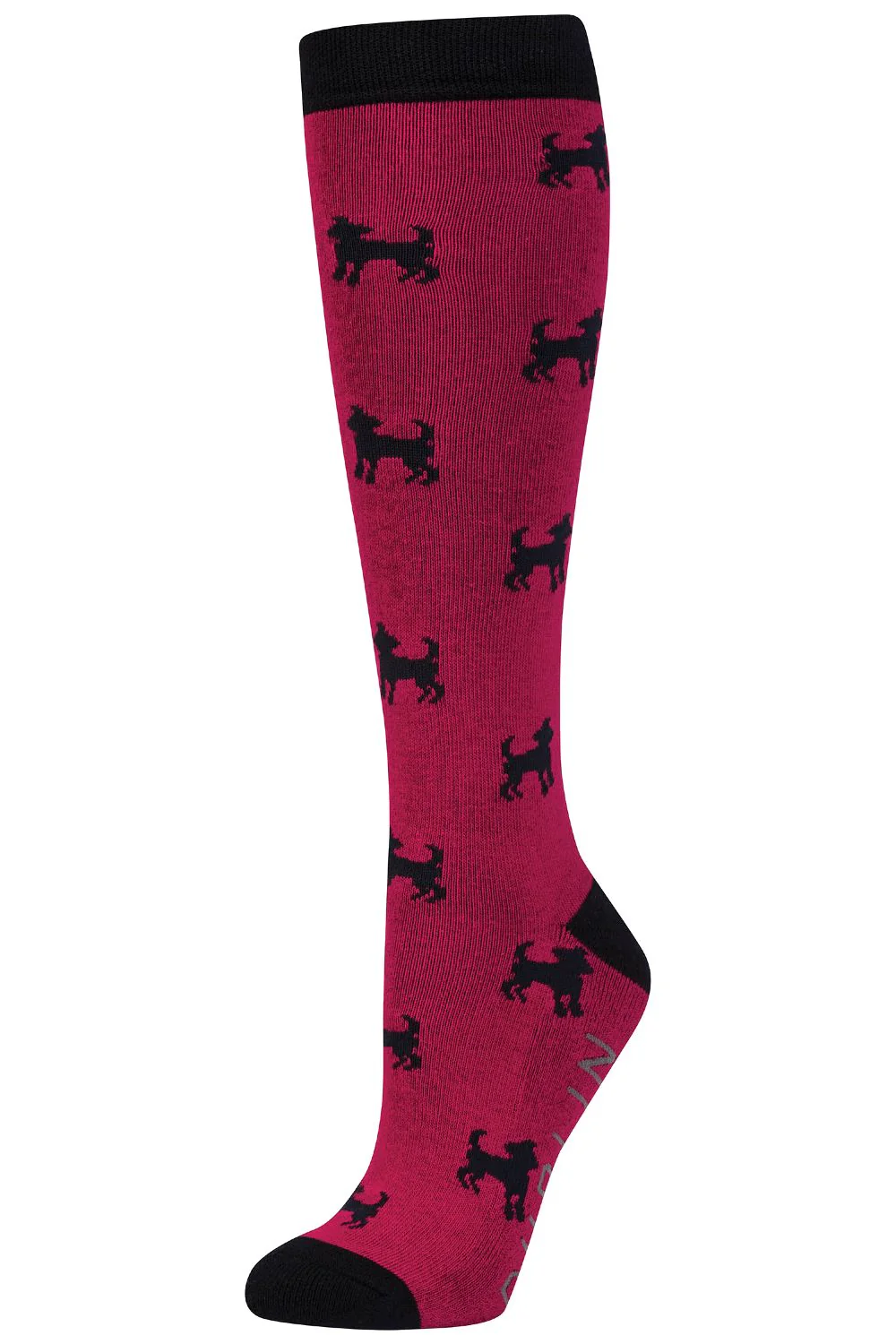 Dublin Single Pack Socks - Image 4
