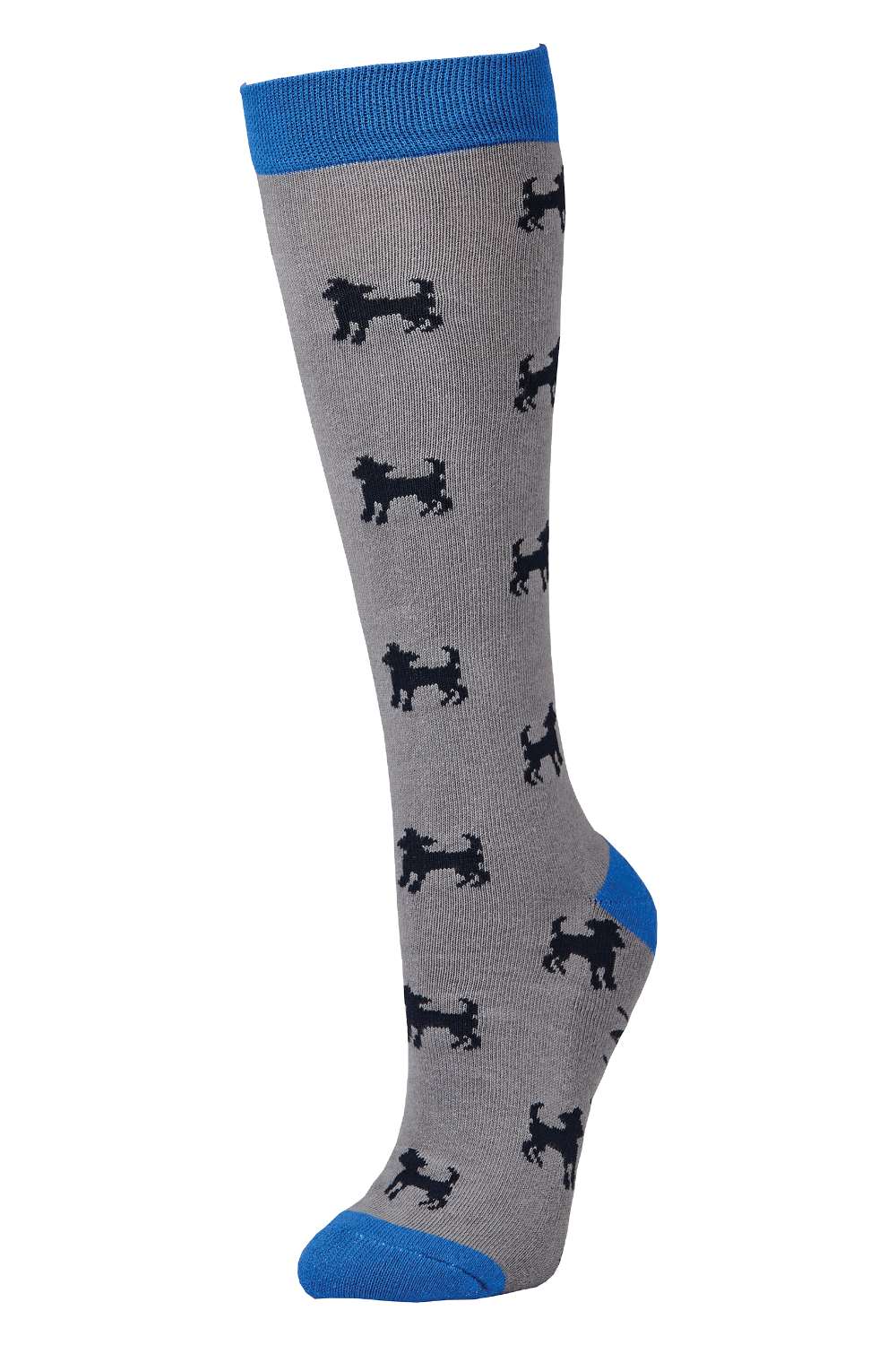 Dublin Single Pack Socks - Image 5