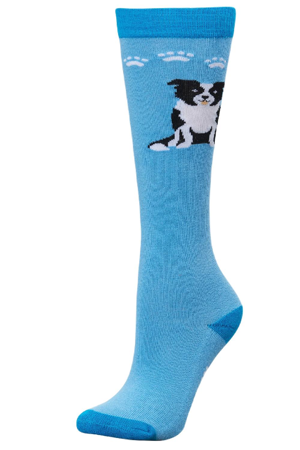 Dublin Single Pack Socks - Image 7