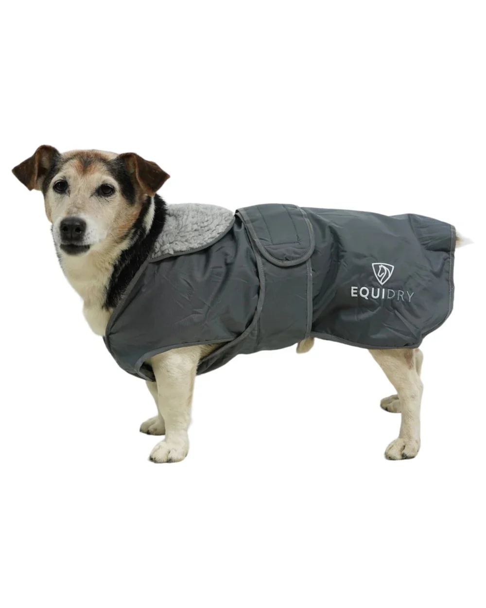 Equidry Waterproof Dog Coat - Image 12
