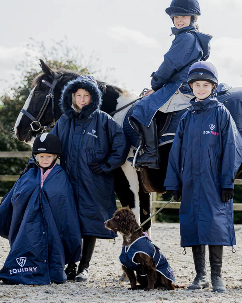Equidry Waterproof Dog Coat - Image 18