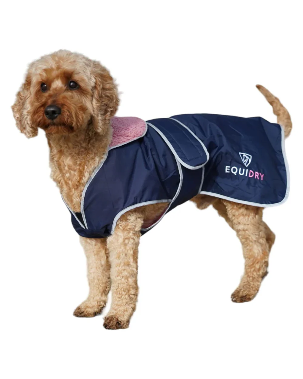 Equidry Waterproof Dog Coat - Image 19