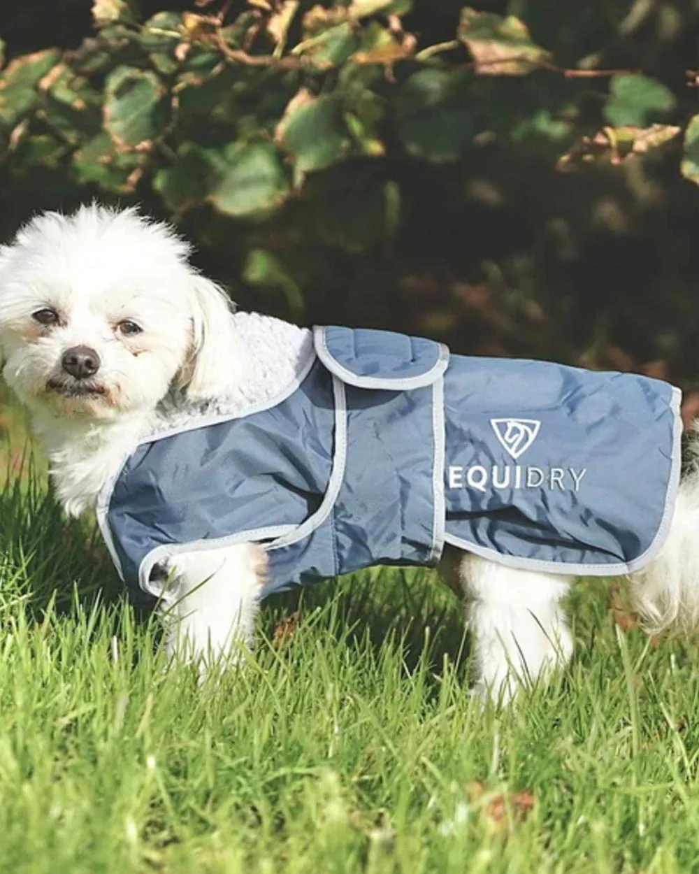 Equidry Waterproof Dog Coat - Image 29
