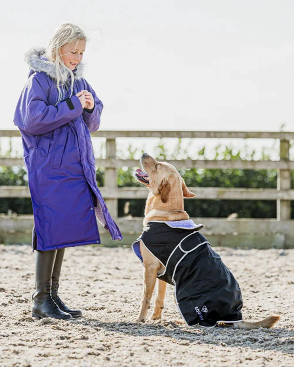 Equidry Waterproof Dog Coat - Image 3
