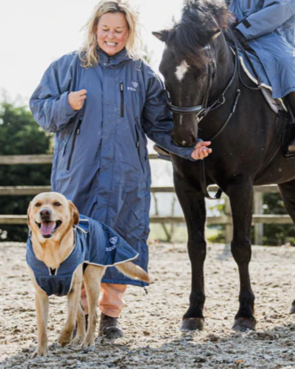 Equidry Waterproof Dog Coat - Image 31