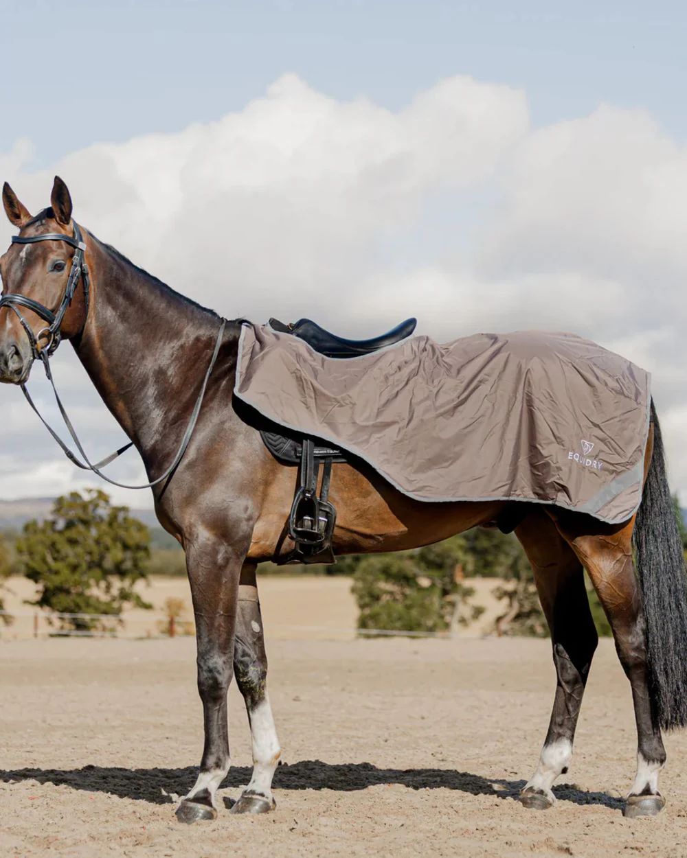 Equidry Waterproof Lite Fleece Lined Exercise Sheet - Image 2