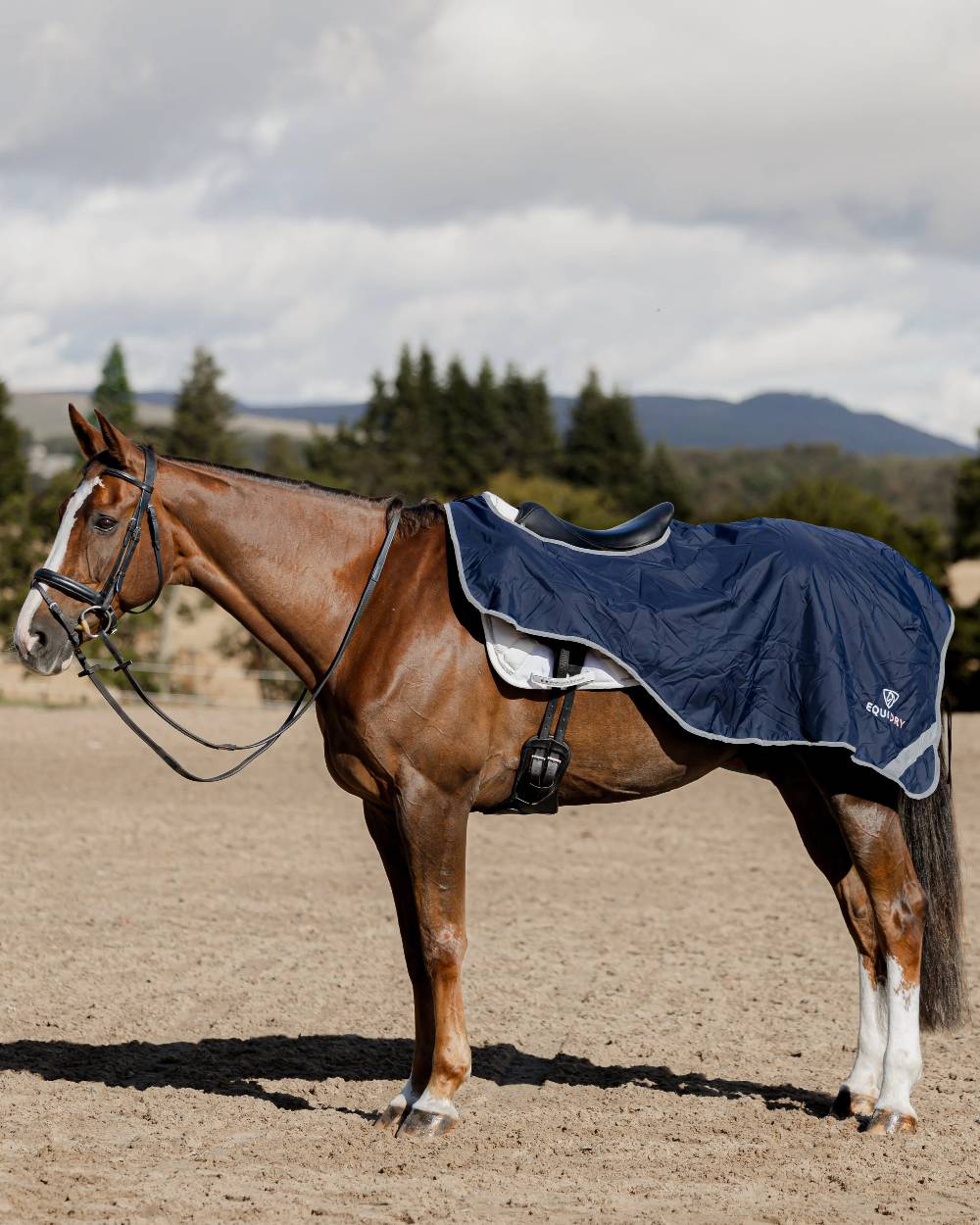 Equidry Waterproof Thick Fleece Lined Exercise Sheet - Image 27