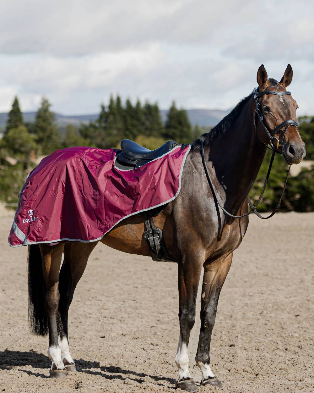 Equidry Waterproof Thick Fleece Lined Exercise Sheet - Image 35