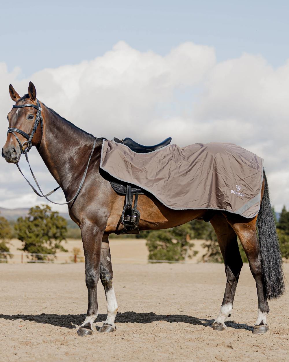 Equidry Waterproof Thick Fleece Lined Exercise Sheet - Image 46