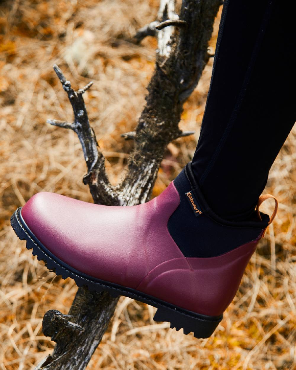 Gateway1 Ascot Lady 6" 3mm Boots - Image 55