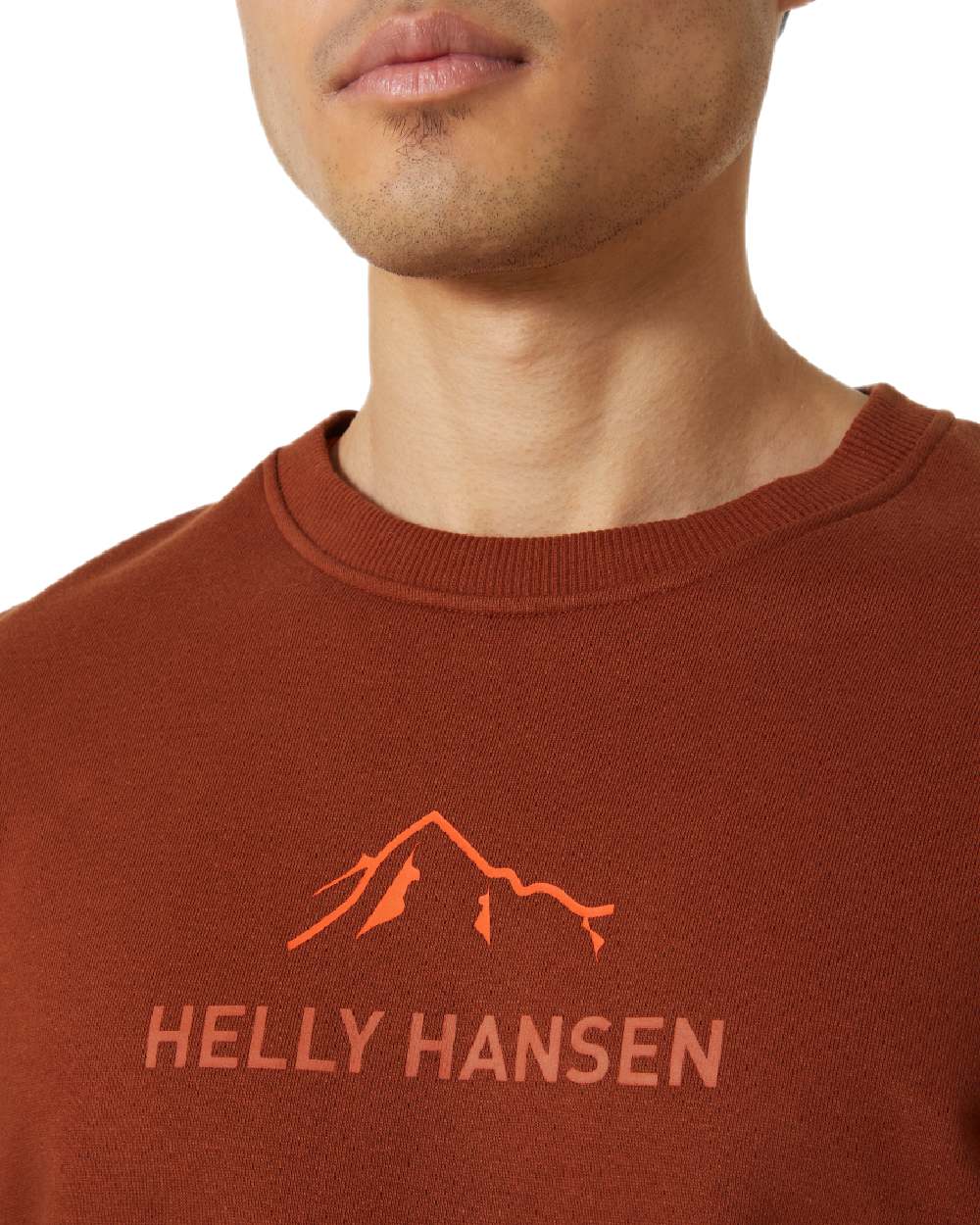 Helly Hansen F2F Organic Cotton Sweater - Image 15