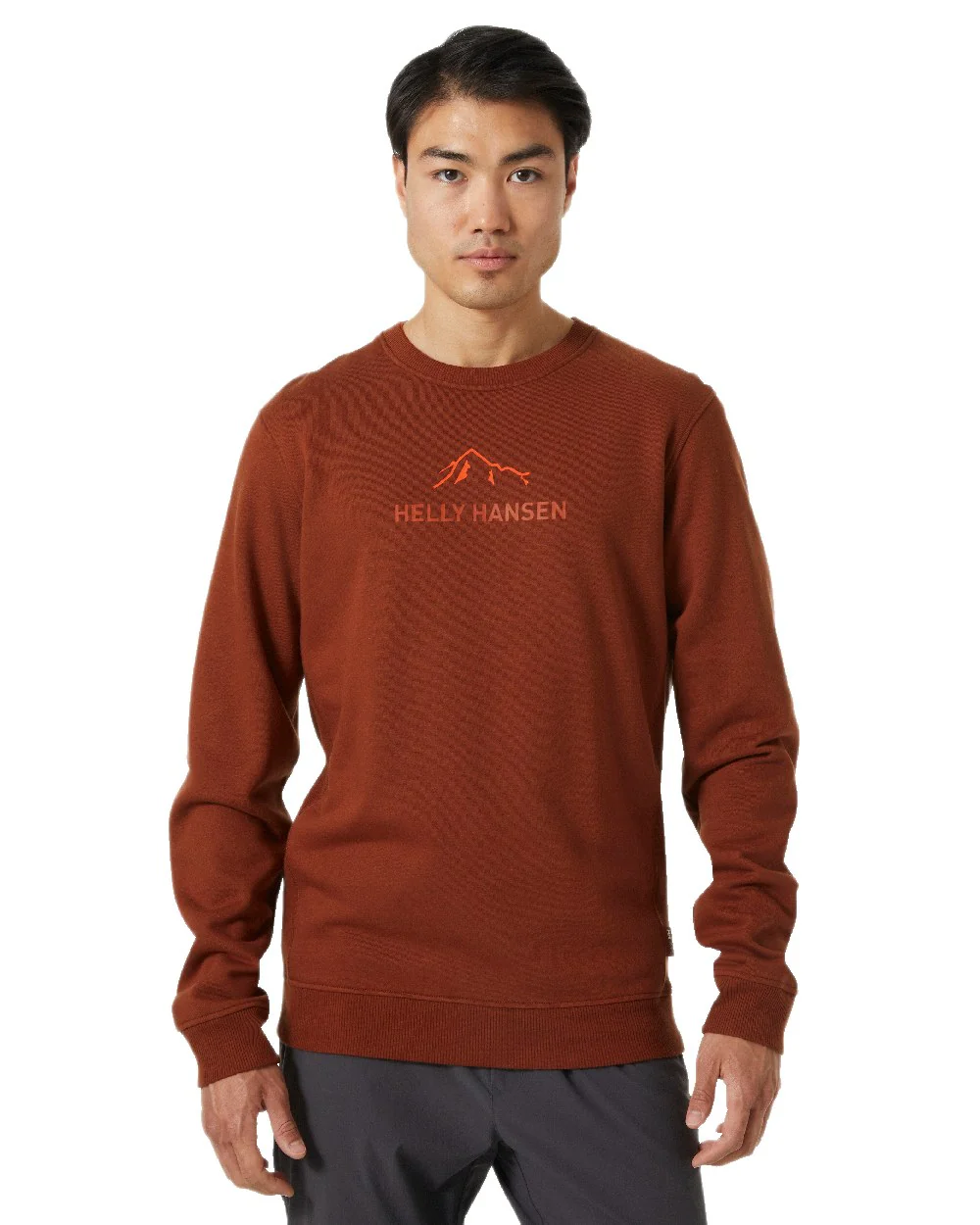Helly Hansen F2F Organic Cotton Sweater - Image 4