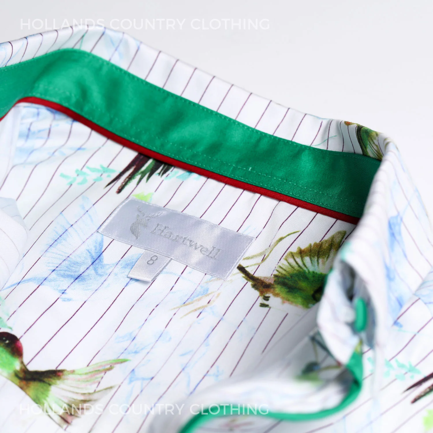 Hartwell Layla Cotton Shirt | Hummingbird Stripe - Image 6
