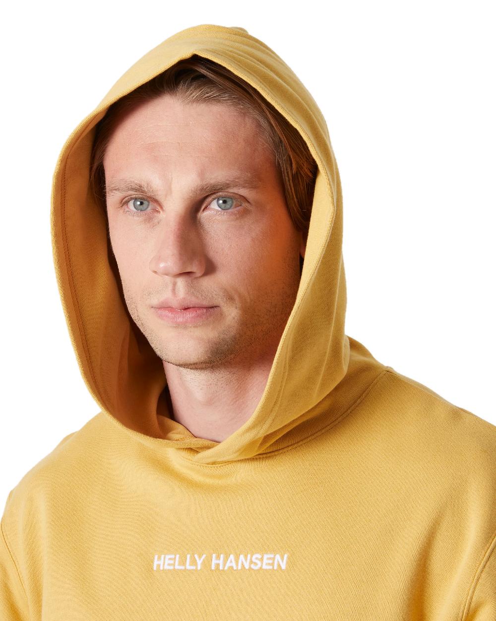Helly Hansen Mens Core Hoodie - Image 5