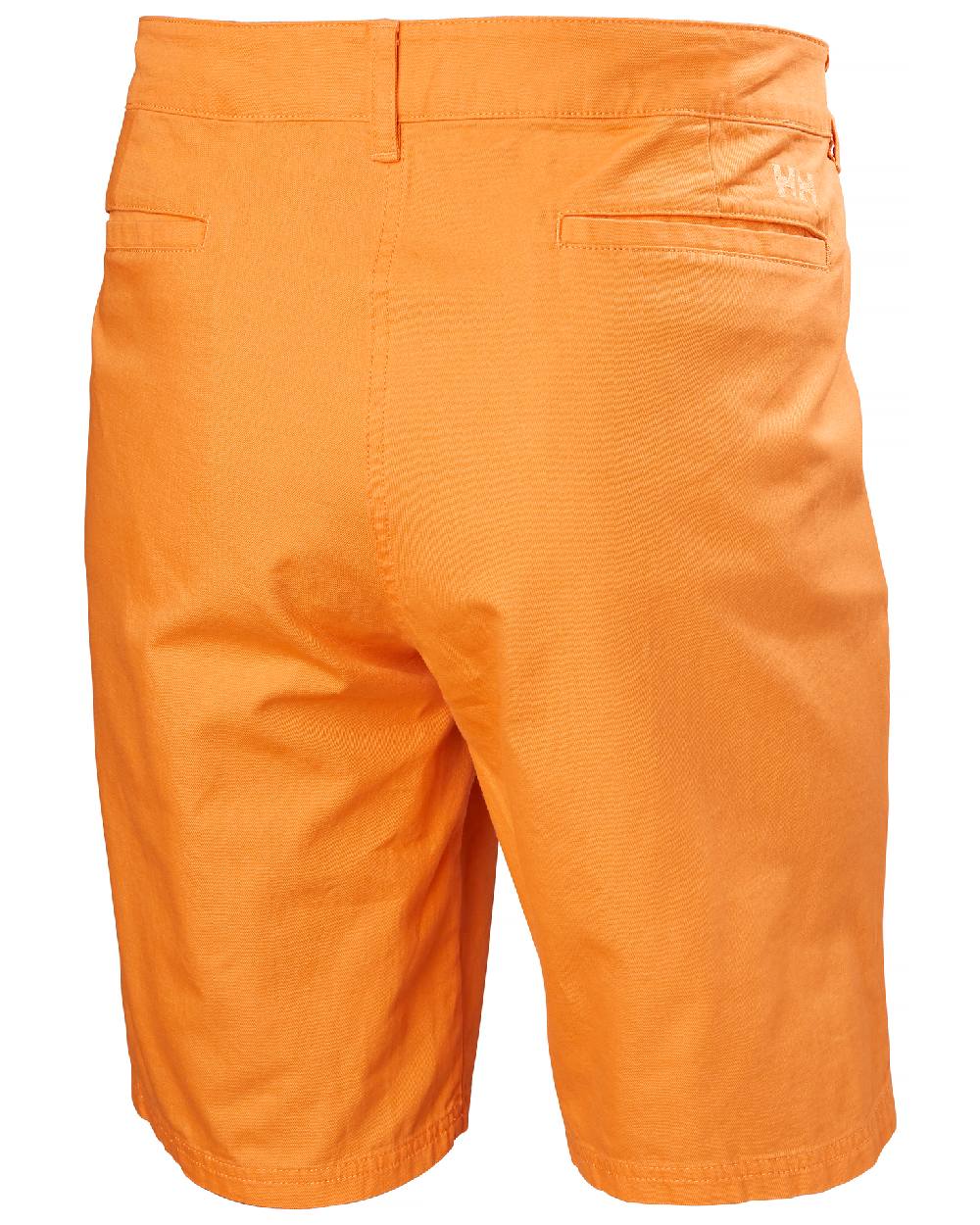 Helly Hansen Mens Dock Shorts - Image 18