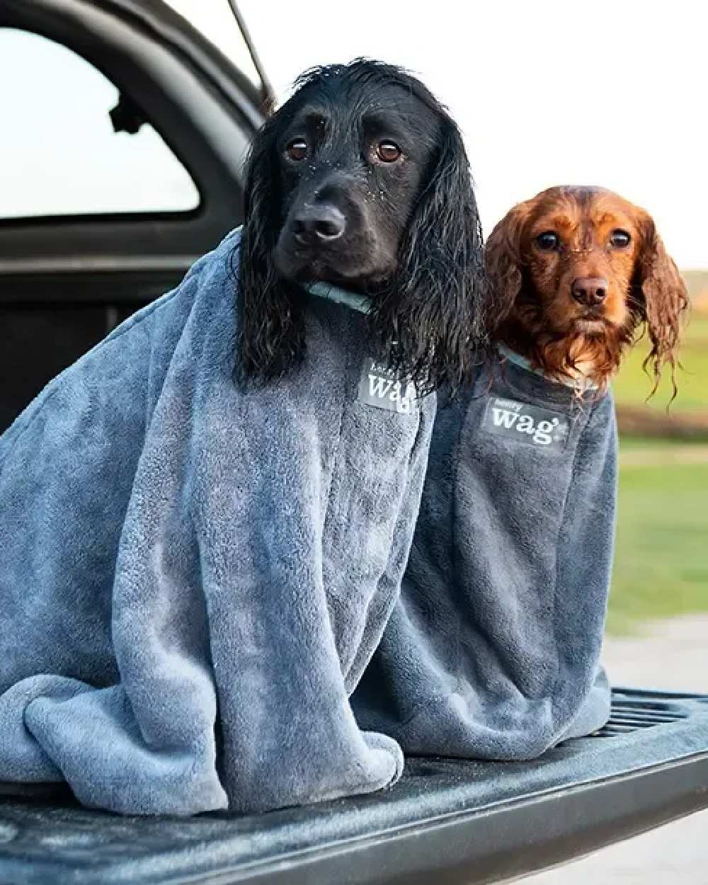 Henry Wag Drying Bag - Image 4