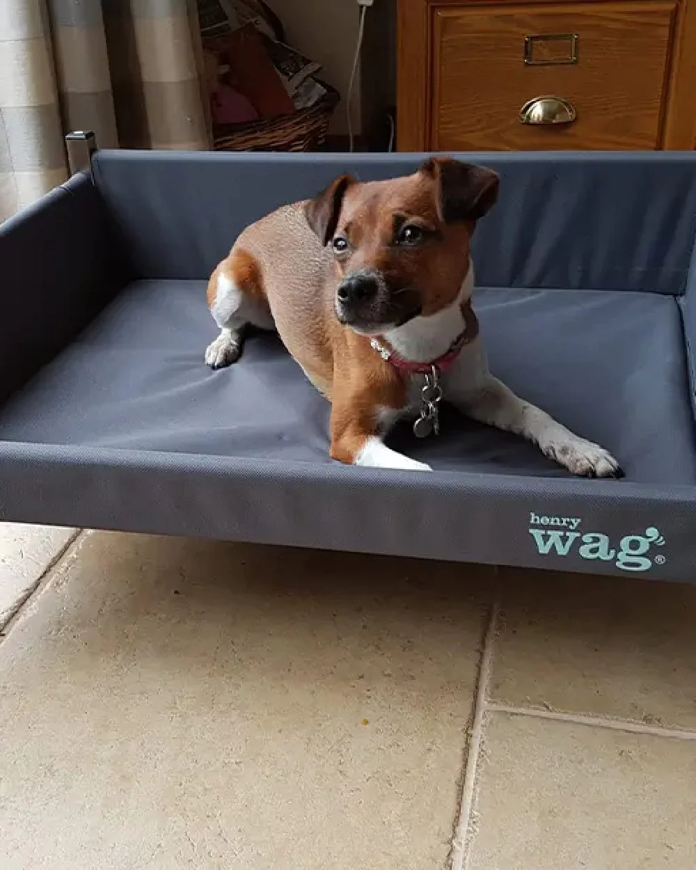 Henry Wag Elevated Dog Bed - Image 3