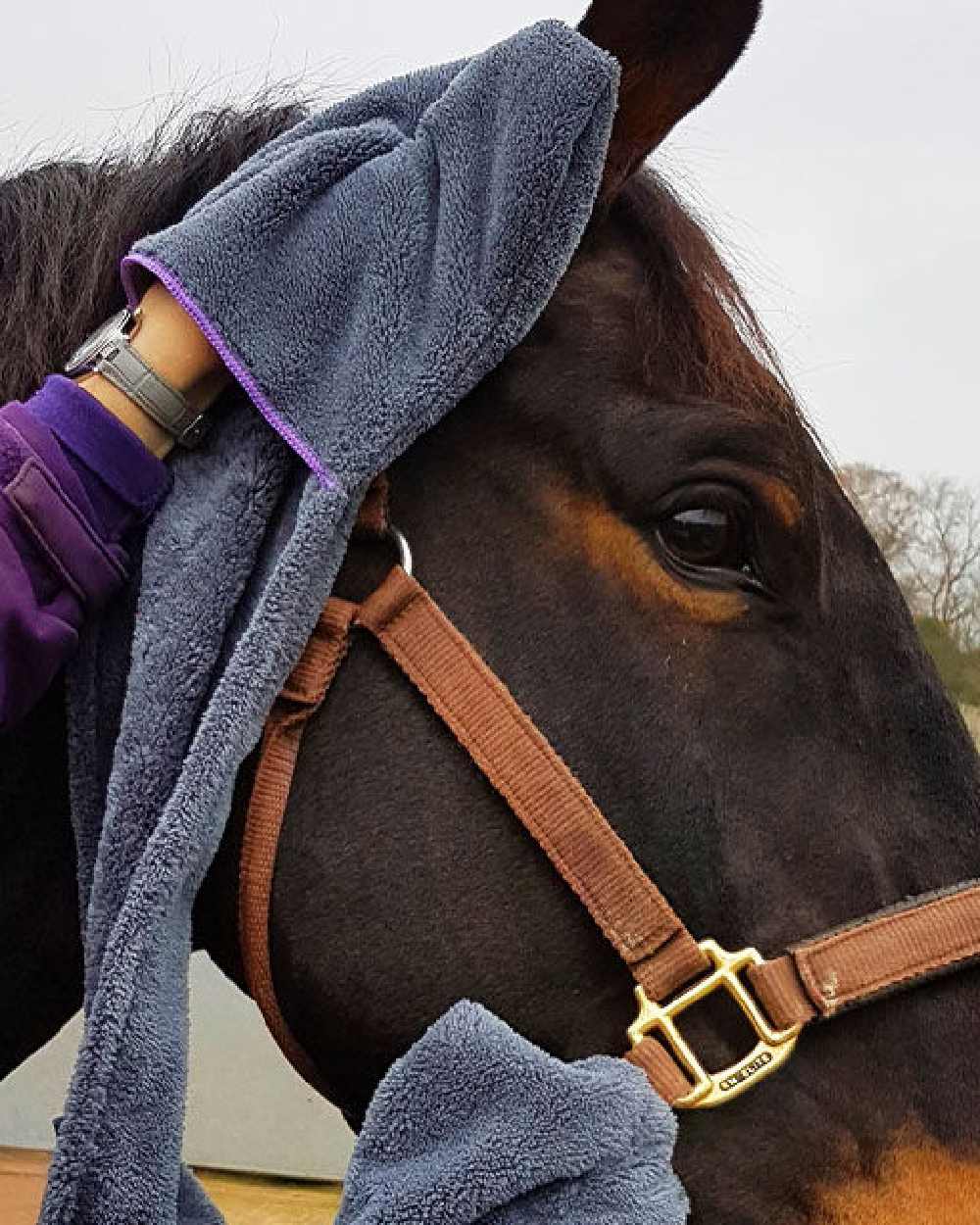 Henry Wag Equine Microfibre Glove Towel - Image 2