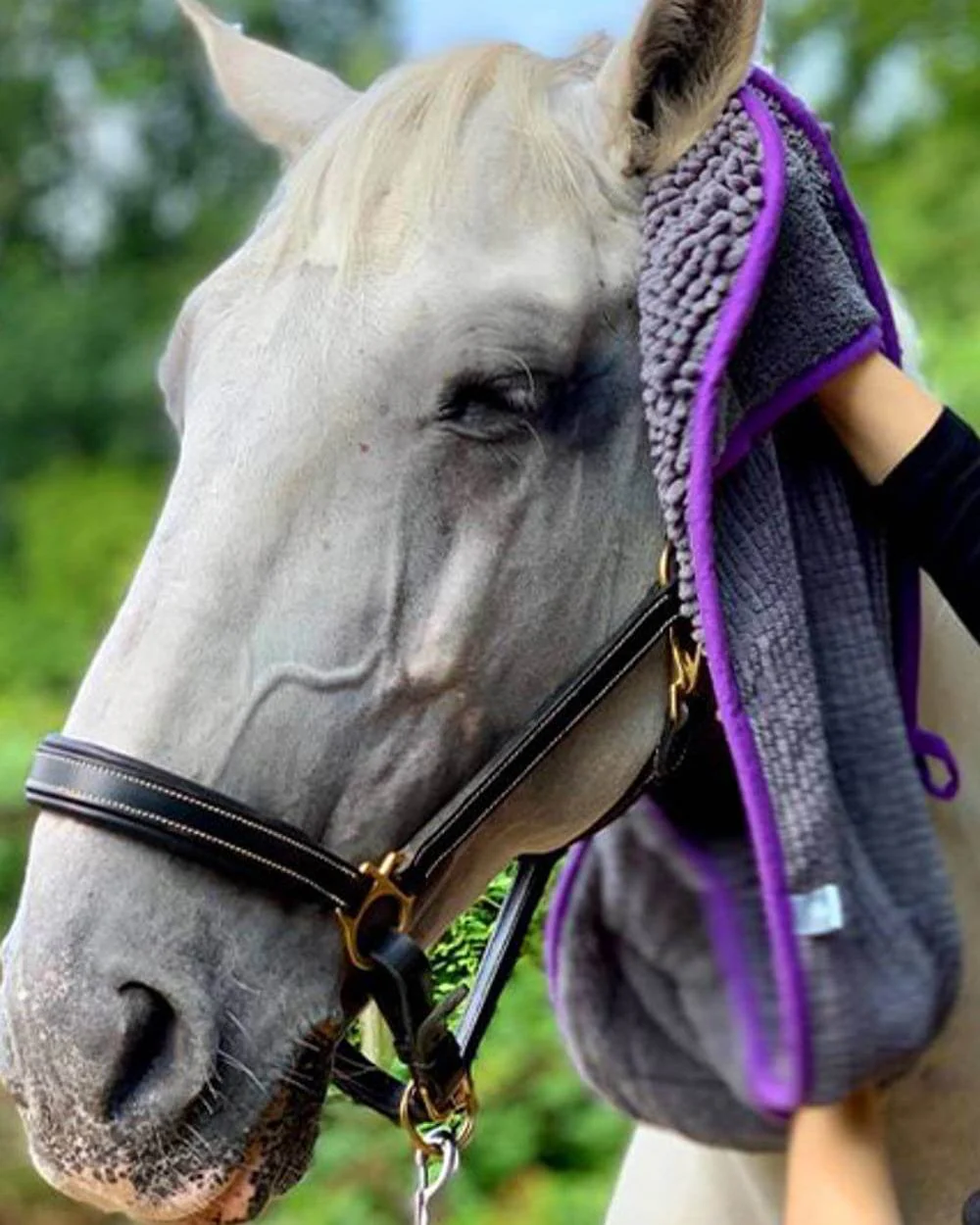 Henry Wag Equine Noodle Glove Towel - Image 3