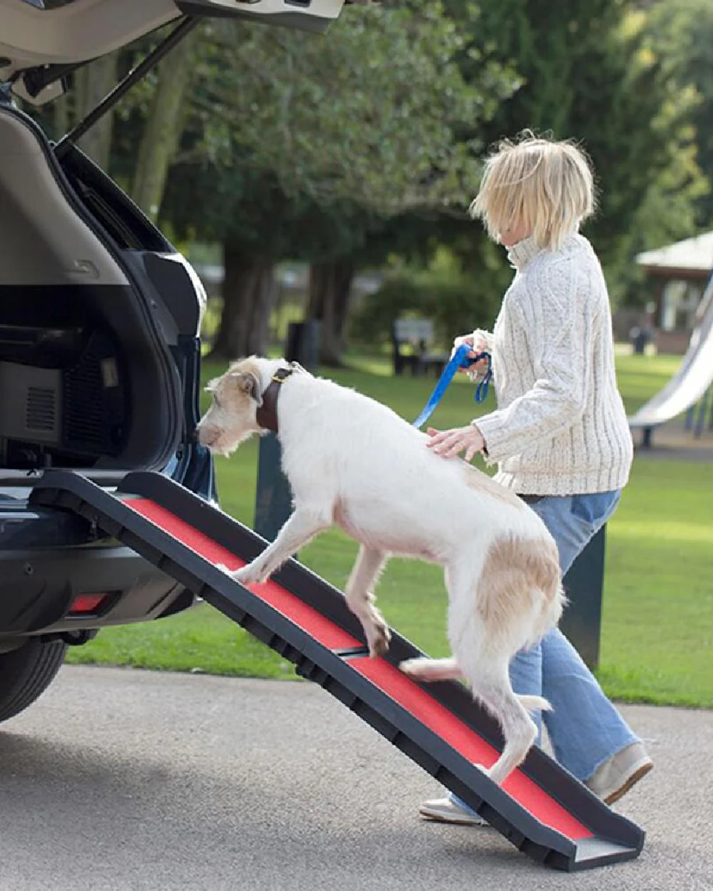 Henry Wag Lightweight Folding Pet Ramp - Image 2