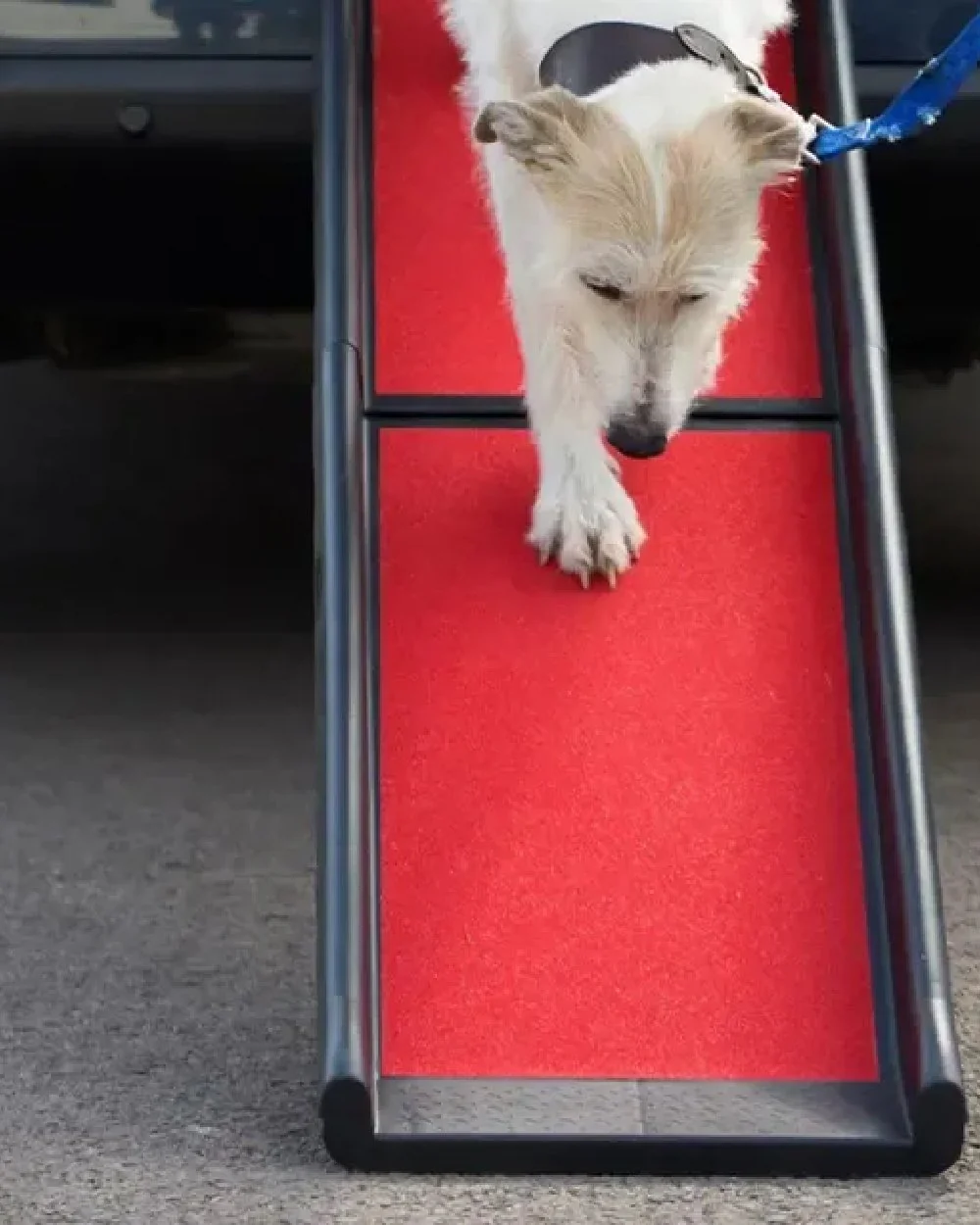 Henry Wag Lightweight Folding Pet Ramp - Image 5