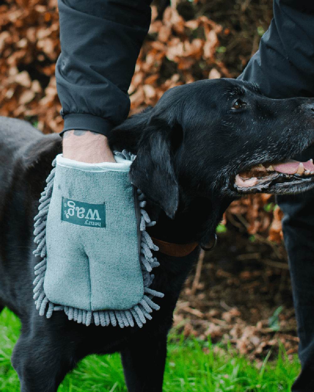 Henry Wag Microfibre Drying Glove - Image 2