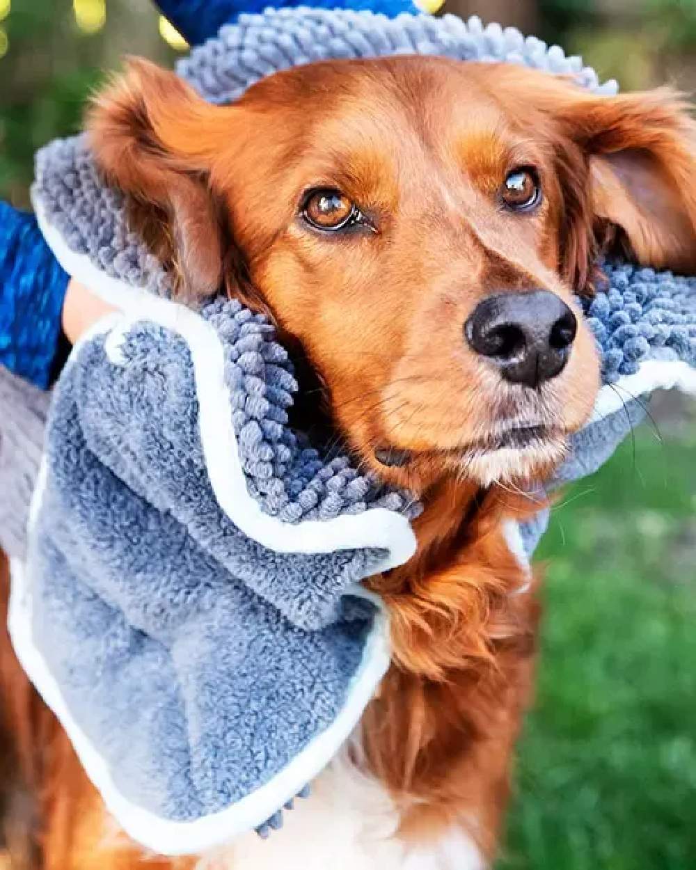Henry Wag Microfibre Glove Towel - Image 5