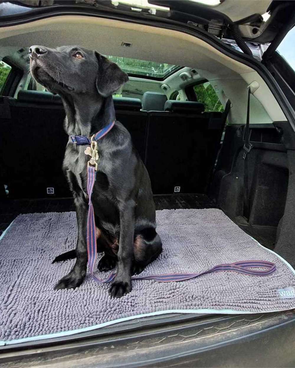 Henry Wag Microfibre Noodle Pet Mat - Image 5