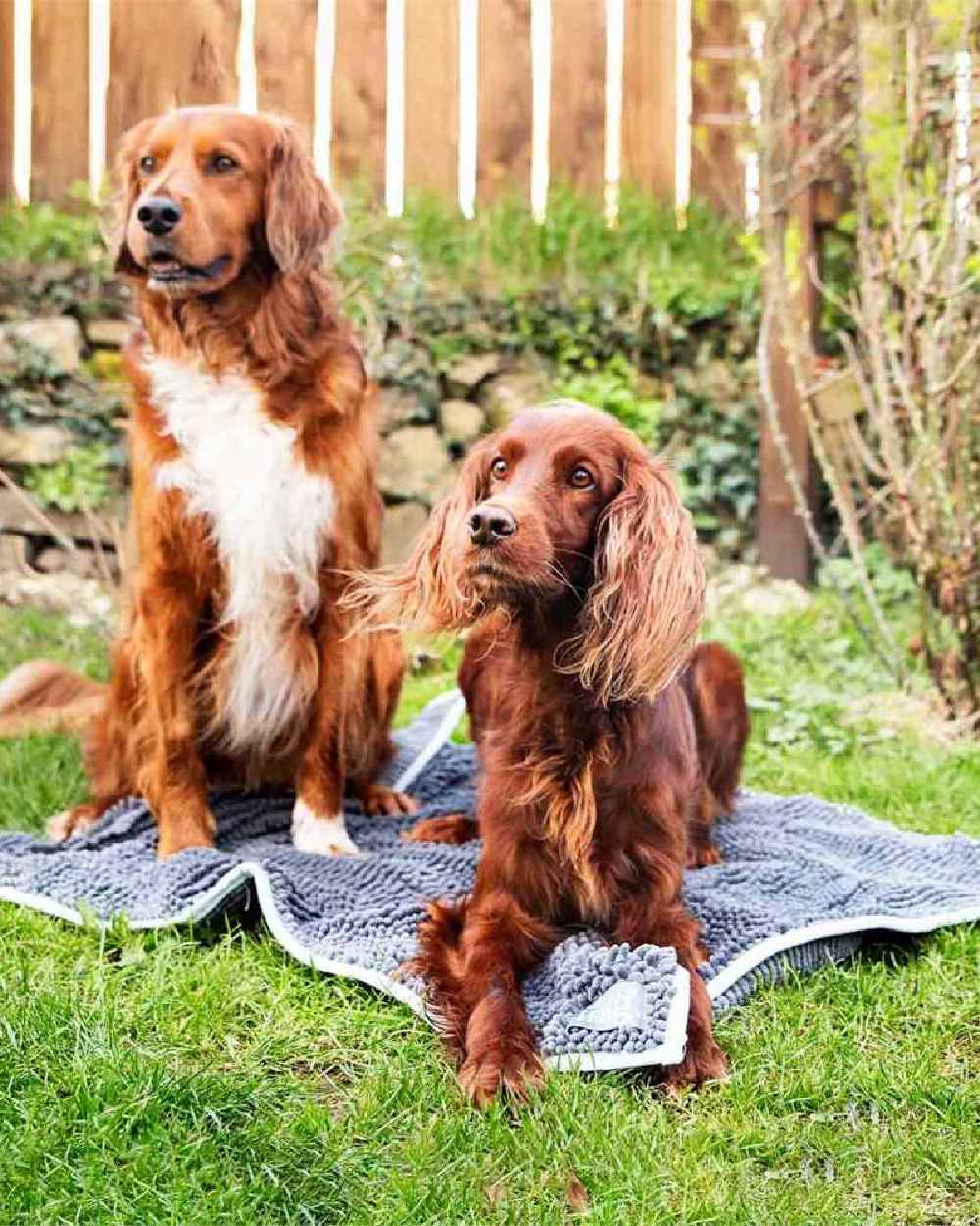 Henry Wag Microfibre Noodle Pet Mat - Image 6
