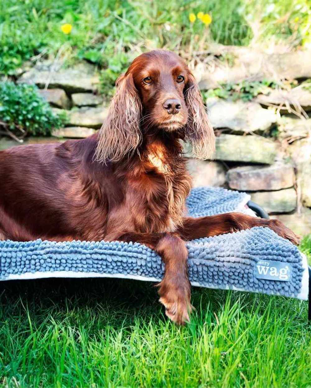 Henry Wag Microfibre Noodle Pet Mat - Image 7