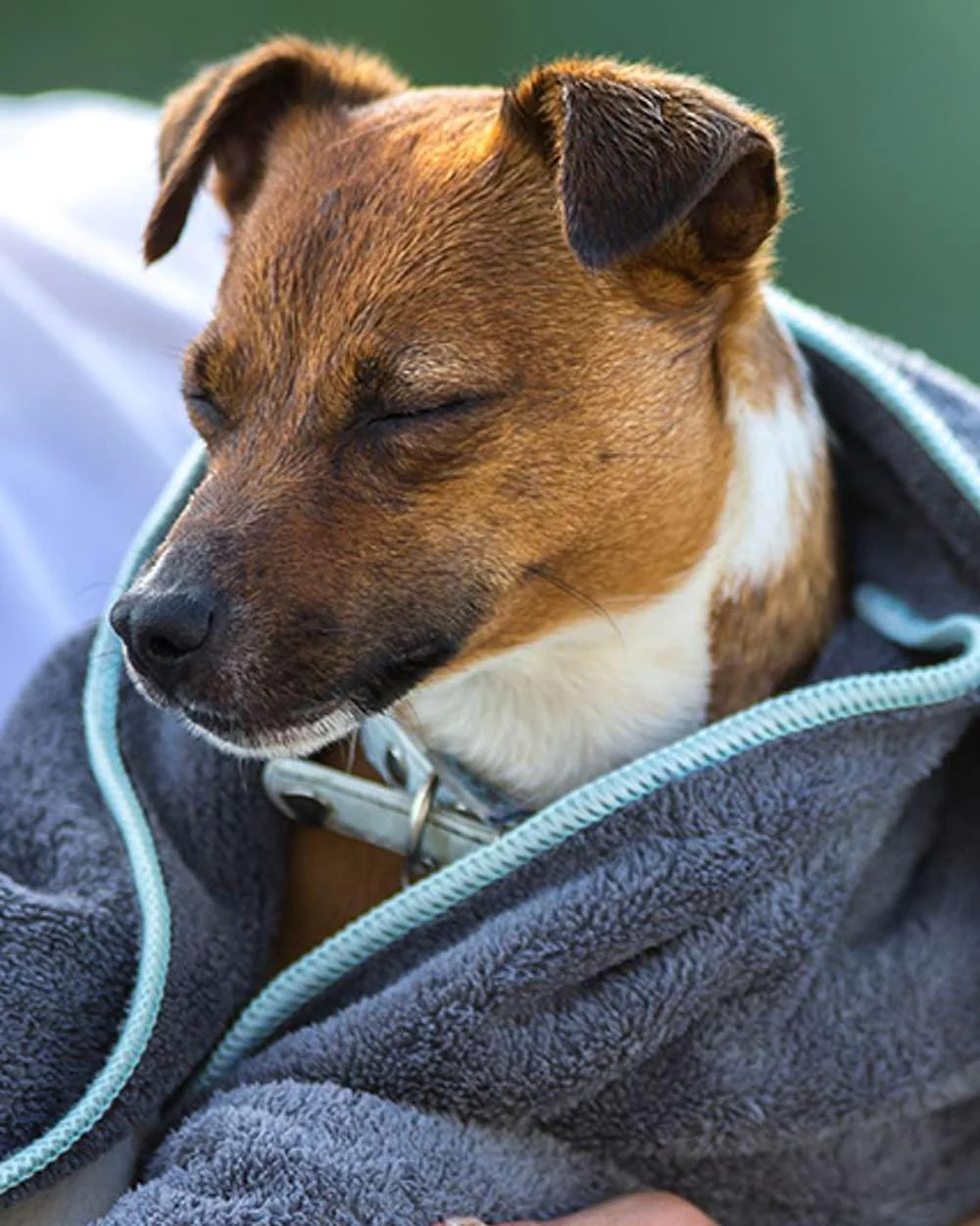 Henry Wag Microfibre Towel - Image 5