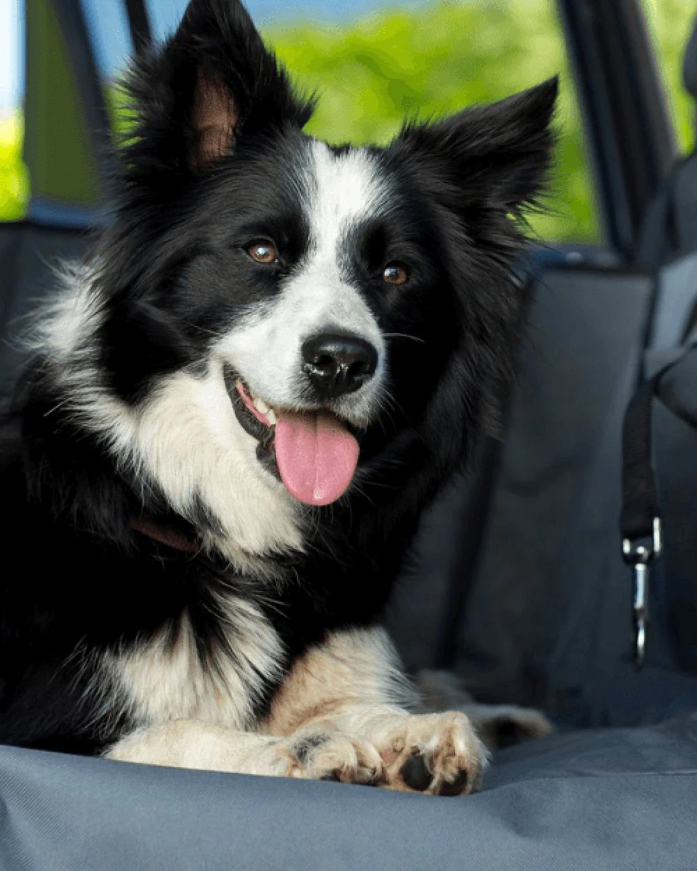 Henry Wag Pet Car Hammock - Image 3