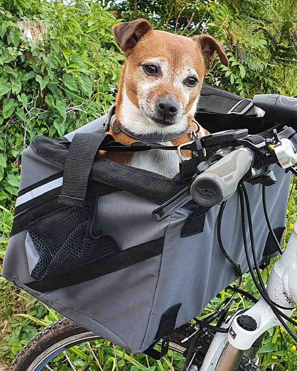 Henry Wag Pet Panier Bike Seat - Image 2