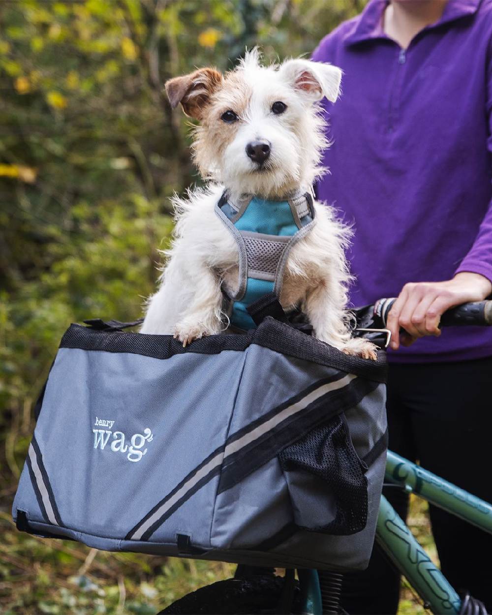 Henry Wag Pet Panier Bike Seat - Image 4