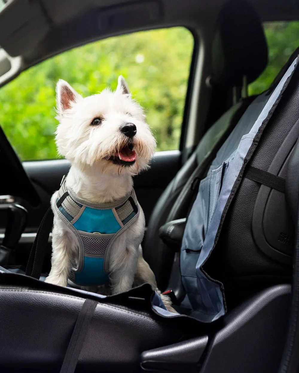 Henry Wag Single Car Seat Cover - Image 3