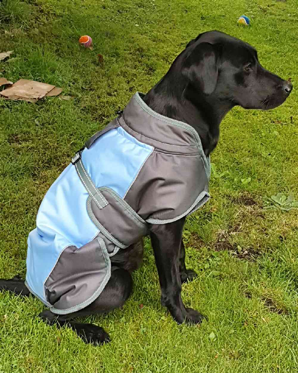 Henry Wag Waterproof Dog Coat - Image 3