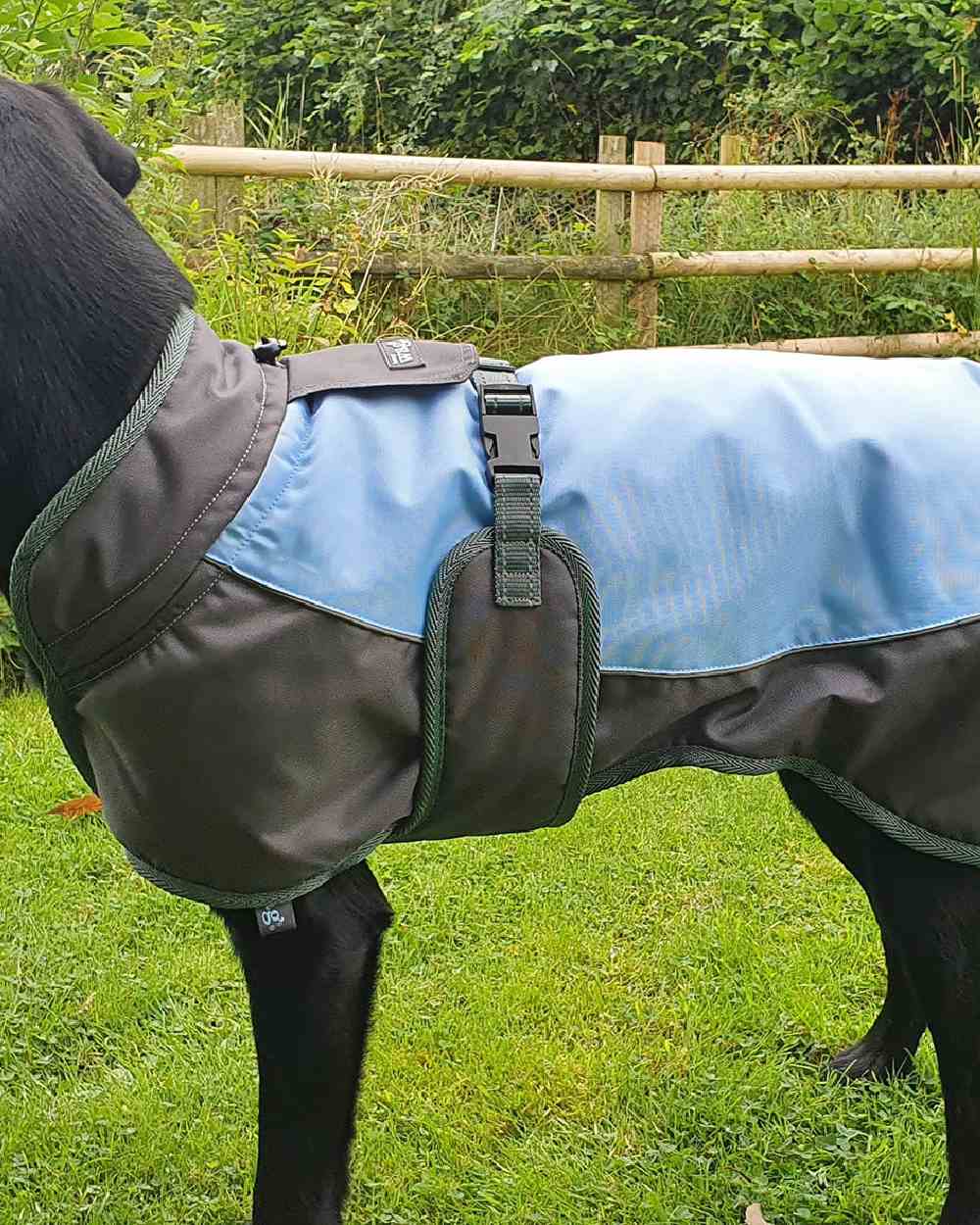 Henry Wag Waterproof Dog Coat - Image 4