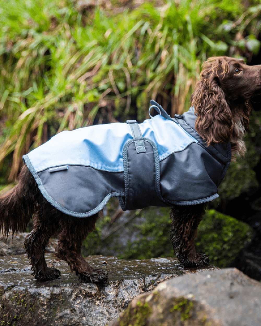 Henry Wag Waterproof Dog Coat - Image 7