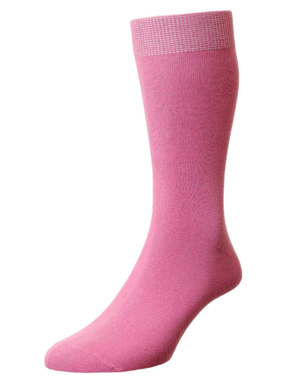 HJ Hall Classic Fashion Cotton Socks - Image 6