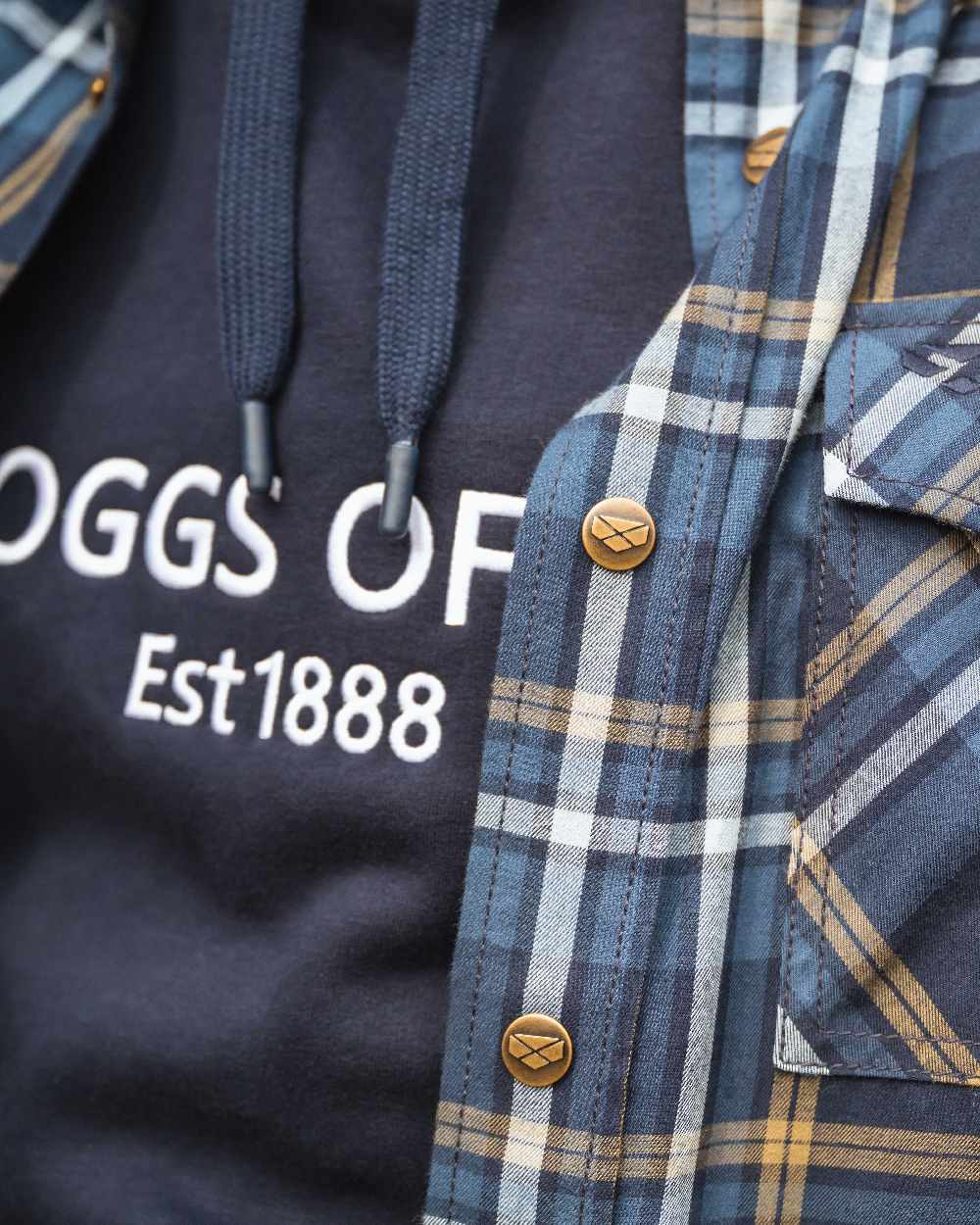 Hoggs of Fife Annan 1888 Hoodie - Image 4