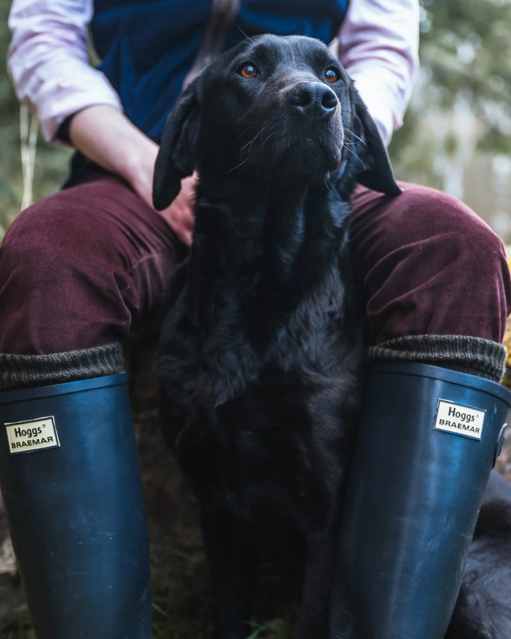 Hoggs of Fife Braemar Wellingtons - Image 17